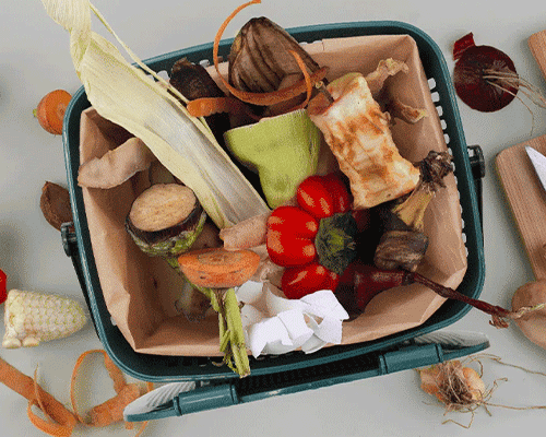 bioseau avec un sac kraft rempli de biodéchets