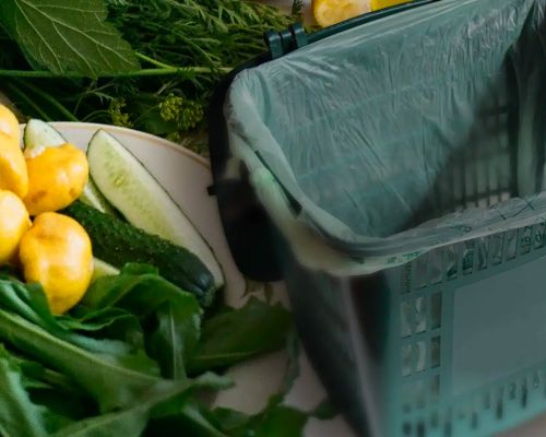 boiseau ajouré vert avec sac en amidon 